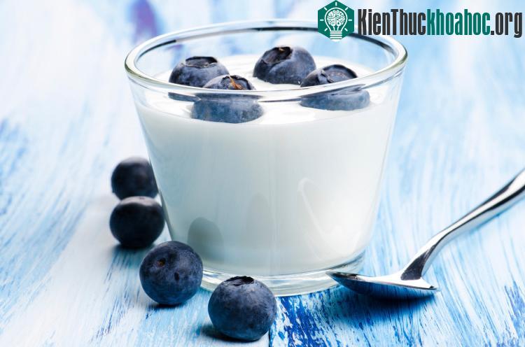 Các vi khuẩn tốt trong sữa chua sẽ hỗ trợ hiệu quả trong cuộc chiến chống lại vi khuẩn gây cảm lạnh.