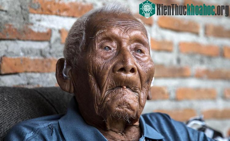 Cụ ông Mbah Gotho, 146 tuổi.