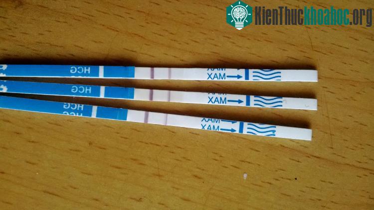 Hiện nay, các xét nghiệm thử thai tại nhà cho kết quả chính xác tới 97%.