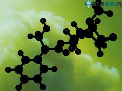 Scopolamine có khả năng gây ức chế thần kinh, tạo ảo giác. (Ảnh: Telegraph).