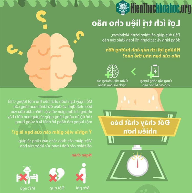 Dầu dừa giúp cải thiện bệnh Alzheimer.