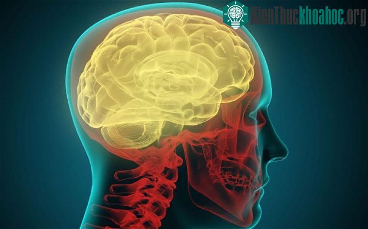 Việc nhớ lại sẽ nhanh hơn nếu các tình nguyện viên nhìn bức ảnh lúc đang hít vào.