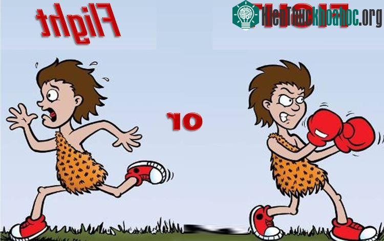 Tại sao tim chúng ta đập nhanh khi thấy nguy hiểm? ảnh 1