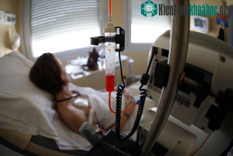 Nghiên cứu kéo dài tuổi thọ gần như hoàn toàn nằm trong lĩnh vực y tế cộng đồng