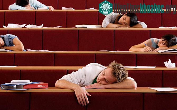 Việc nhồi nhét thông tin về lâu dài thì lợi ích của chúng có thể không bao giờ tốt như mong đợi.