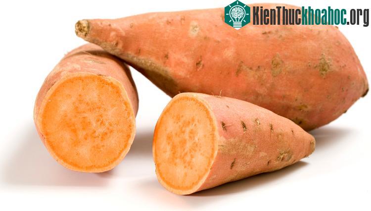 Ăn khoai lang vào buổi trưa là tốt nhất.