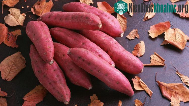 Lutein và zeaxanthin cũng có tác dụng trong việc làm tăng cường sức khỏe của mắt ở những người lớn tuổi.