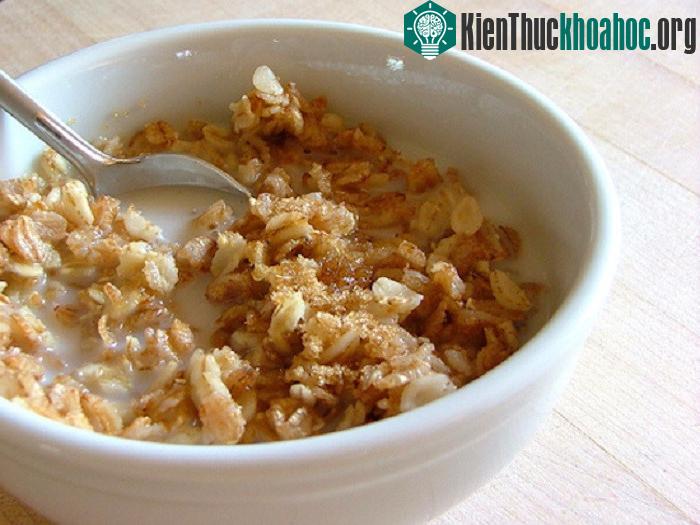 Khi nhắc đến thành phần của cháo bột yến mạch không thể bỏ qua tinh bột.