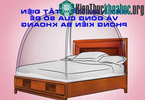 Hãy ngủ màn, tắt điện, đóng cửa sổ để phòng kiến ba khoang