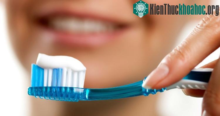 Bạn nên giành khoảng hai phút để đánh răng hai lần một ngày.