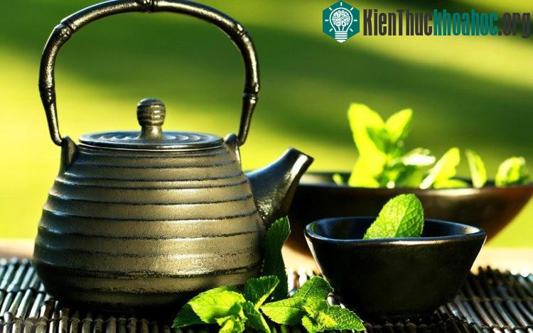 Uống trà xanh giúp ngăn ngừa ung thư.