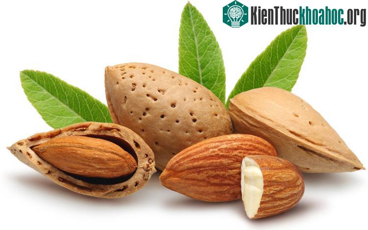 Hạt hạnh nhân giúp tăng lượng cholesterol tốt trong cơ thể, giảm nguy cơ mắc bệnh tim mạch. (Ảnh: perfectinsider.com).