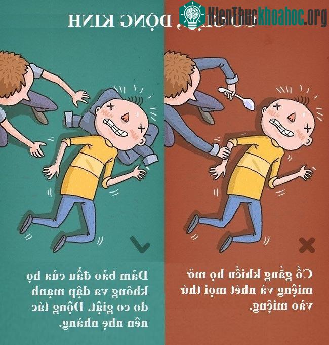 Cách tốt nhất là bạn nên đặt vật mềm như gối, chăn, khăn... dưới đầu họ, vì sẽ giúp họ tránh bị chấn động não.