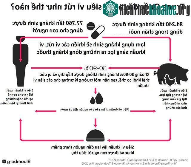 Một con lợn Trung Quốc trưởng thành đào thải khoảng 175ml gram kháng sinh mỗi ngày, theo nghiên cứu năm 2013.