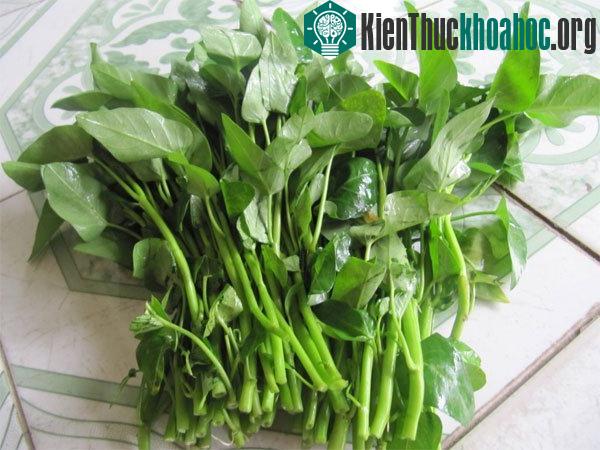 Không nên ăn sống rau muống hoặc ăn khi rau chưa chín kĩ bởi người ăn có thể bị đầy bụng, dị ứng...