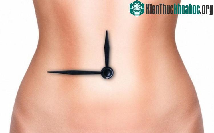 Ăn muộn có thể dẫn đến nguy cơ chất béo tích tụ ở các cơ quan khác.