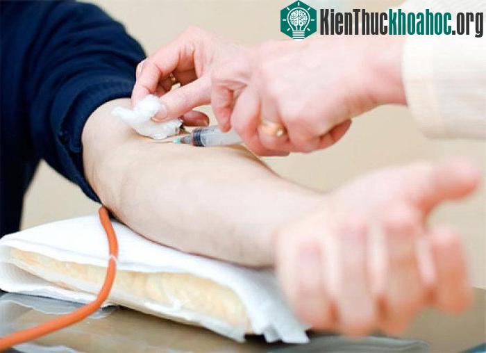 Lymphocyte giúp cơ thể chống lại nhiễm trùng.