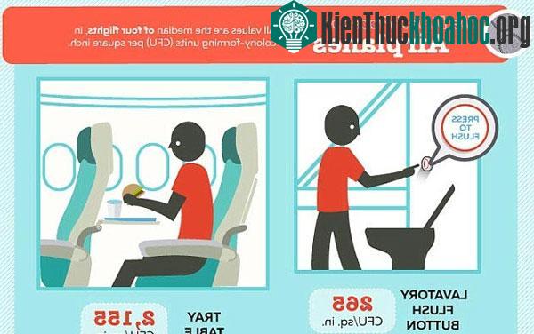 Bàn xếp gắn phía sau ghế máy bay, nơi các hành khách đặt đồ ăn lên đó, mới là nơi dơ bẩn nhất.