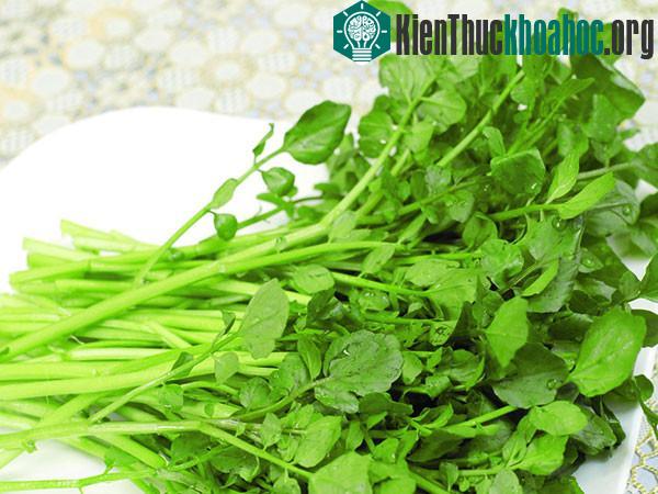 Cải xoong chứa nhiều vitamin, sắt, canxi, ma-giê, mangan, kẽm và kali.