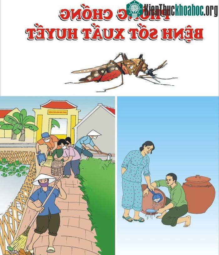 Cần chú ý thay nước, rửa dọn đồ vật trong nhà, không để nước lưu cữu sẽ là môi trường cho bọ gậy phát triển, sinh nở thành muỗi vằn.