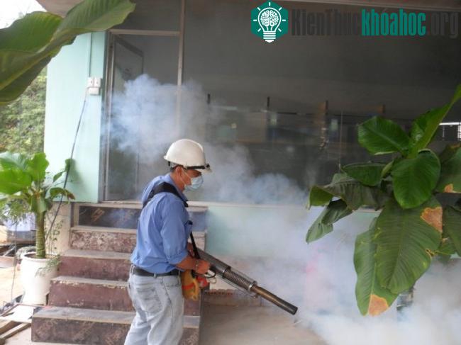 Muỗi Aedes aegypti được cho là trung gian chính chịu trách nhiệm cho việc lây lan đại dịch Zika.