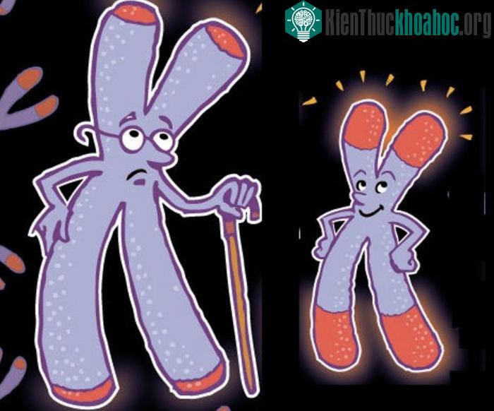 Thiếu kiên nhẫn có ảnh hưởng tiêu cực đến các hoạt động trong suốt đời người. (Ảnh: brenandmike.com​).