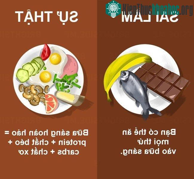 Theo các chuyên gia dinh dưỡng, một bữa sáng tốt nhất chính là bữa sáng giàu protein, chất xơ, kết hợp đồng đều với chất béo và carbs lành mạnh để cun...