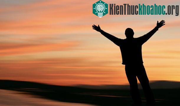 25 sự thật thú vị về trái tim của bạn