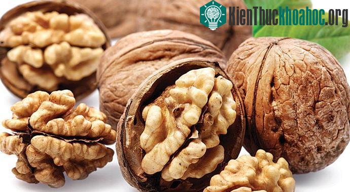Óc chó là thứ quả được dùng quanh năm, đặc biệt vào mùa thu, thời điểm thu hoạch.