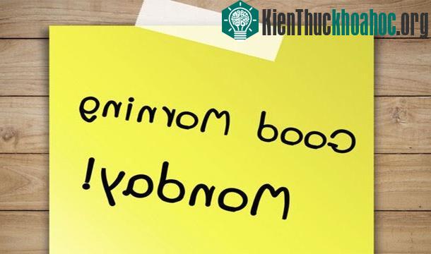 25 sự thật thú vị về trái tim của bạn