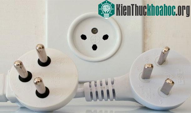 25 sự thật thú vị về trái tim của bạn