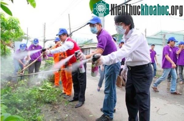 Chủ động diệt muỗi để phòng tránh bệnh