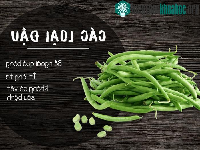 Các loại đậu.