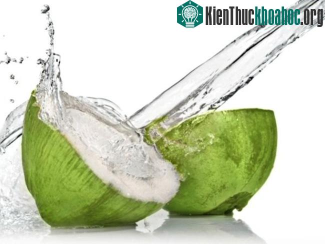 Nước dừa gần giống như huyết tương