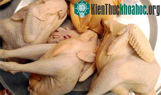 Gà ta làm sẵn thường có thân hình nhỏ gọn, săn chắc, ức hẹp. (Ảnh: Internet)