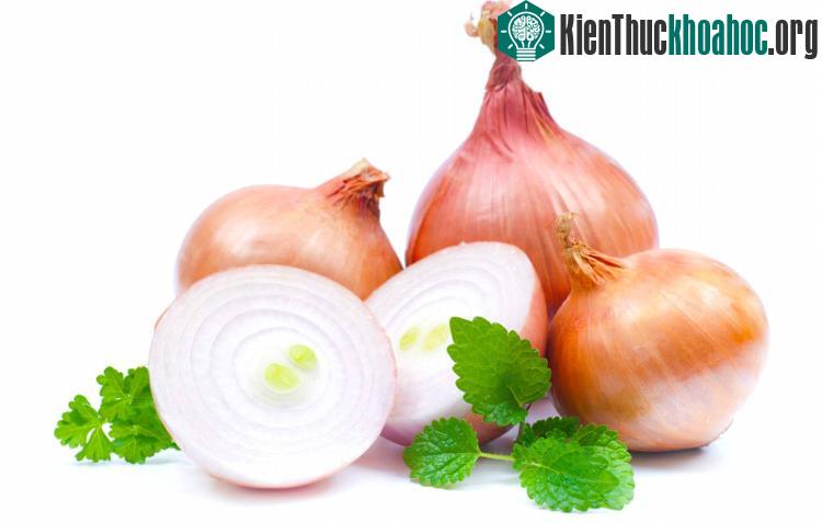 Ăn hành tây còn làm giảm cholesterol trong máu, ổn định huyết áp