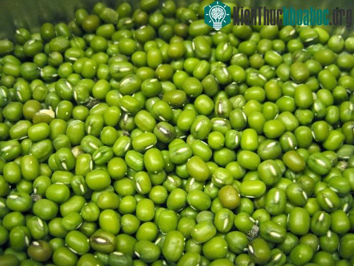 Khi chọn loại đỗ xanh tiêu, hạt nhỏ, ruột vàng thì sẽ thơm ngon hơn.