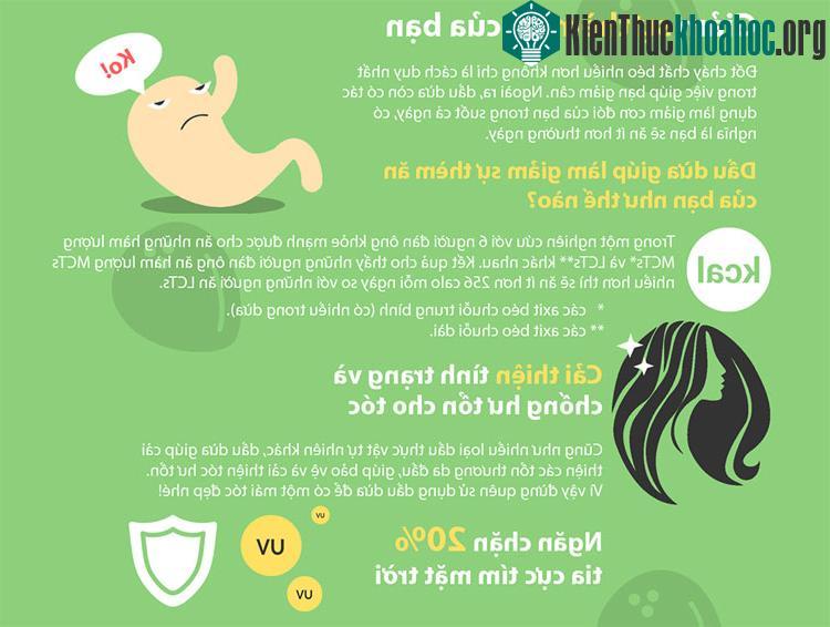 Dầu dừa có tác dụng làm giảm cơn đói của bạn, cải thiện tình trạng và chống hư tổn tóc.