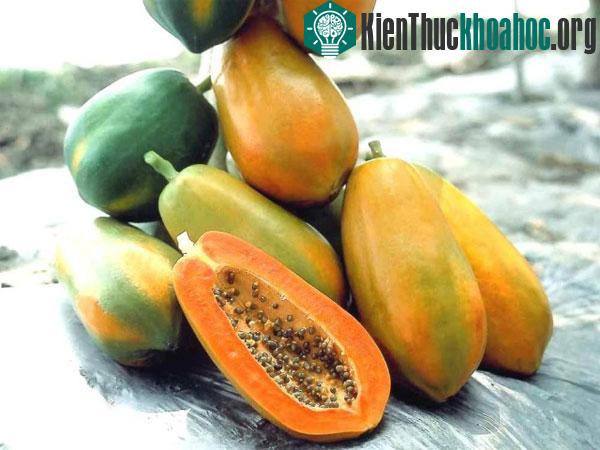 Mẹo chọn trái cây tươi ngon cho ngày Tết