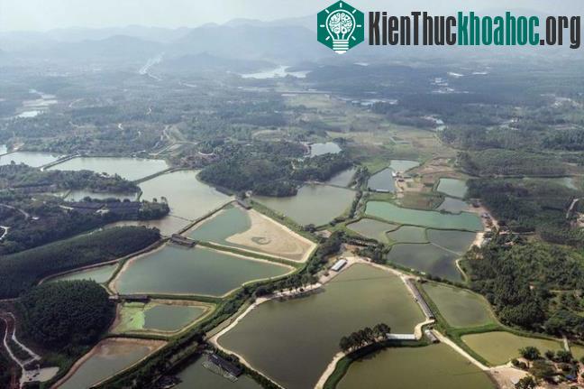 Một khu vực chăn nuôi thủy sản tại Quảng Đông.
