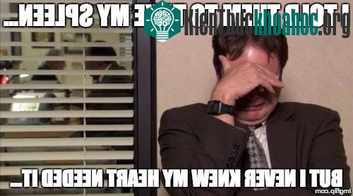 Không có lá lách, bạn sẽ phải đối mặt thường xuyên với những nguy cơ tiềm ẩn khi du lịch.