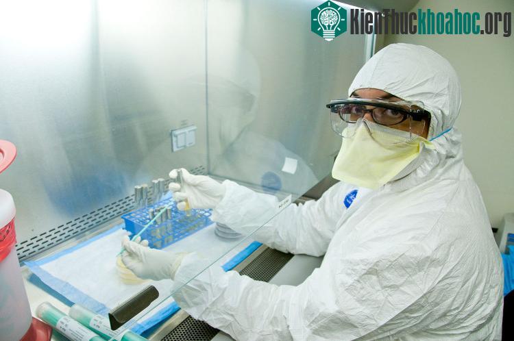Trong vài năm trở lại đây, một số phương pháp xét nghiệm mới đã được phát triển.