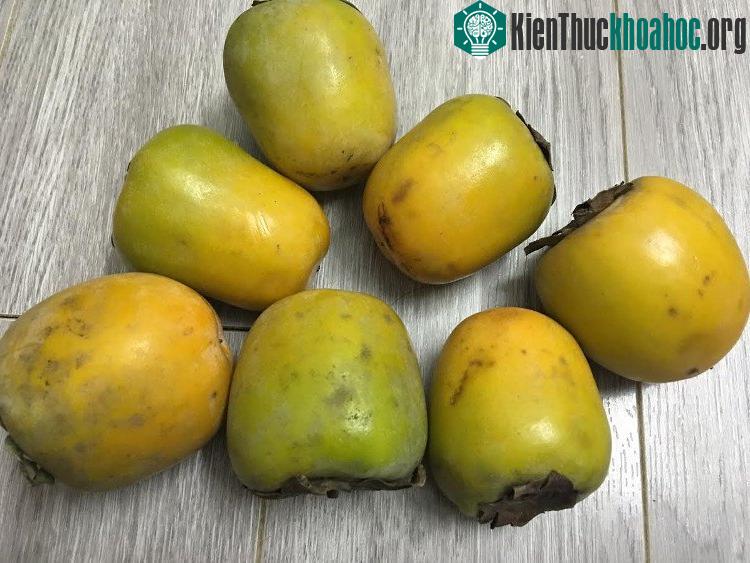 Hồng Trung Quốc có hình dáng khác hồng giòn Đà Lạt.