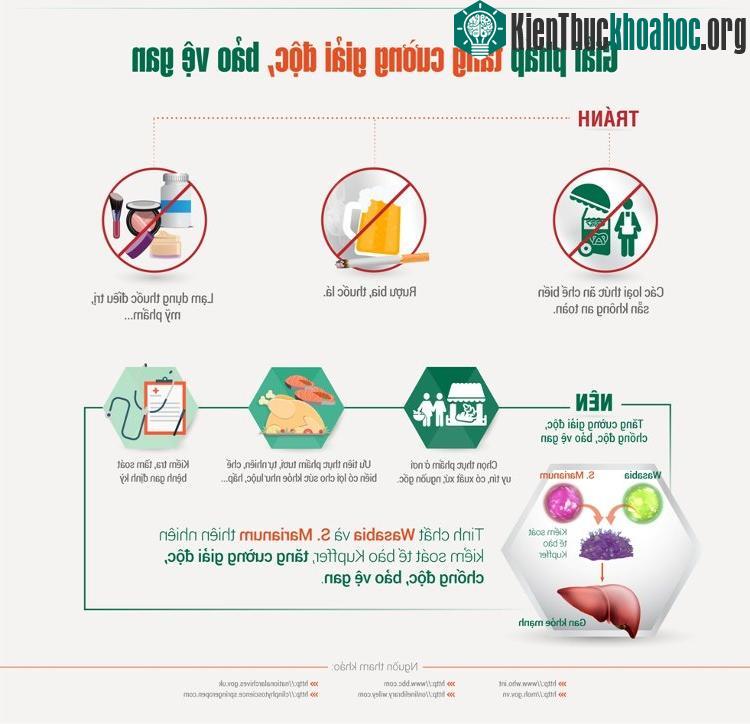 Để tăng cường bảo vệ gan, giải độc gan, cần loại bỏ rượu bia, thuốc lá, không lạm dụng thuốc điều trị và không ăn thức ăn chế biến sẵn....