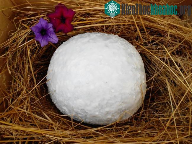 Đặt quả dưa vào một chiếc thùng có lót rơm, rạ.
