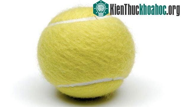 25 sự thật thú vị về trái tim của bạn