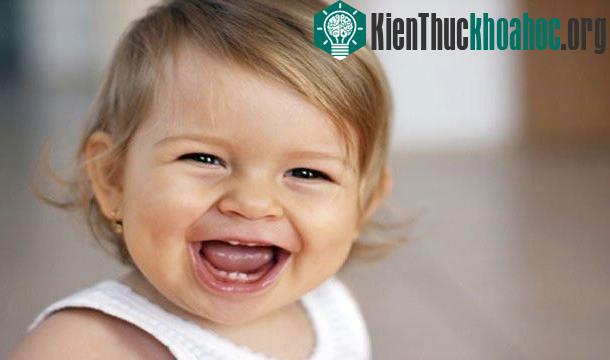 25 sự thật thú vị về trái tim của bạn