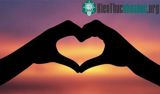 25 sự thật thú vị về trái tim của bạn