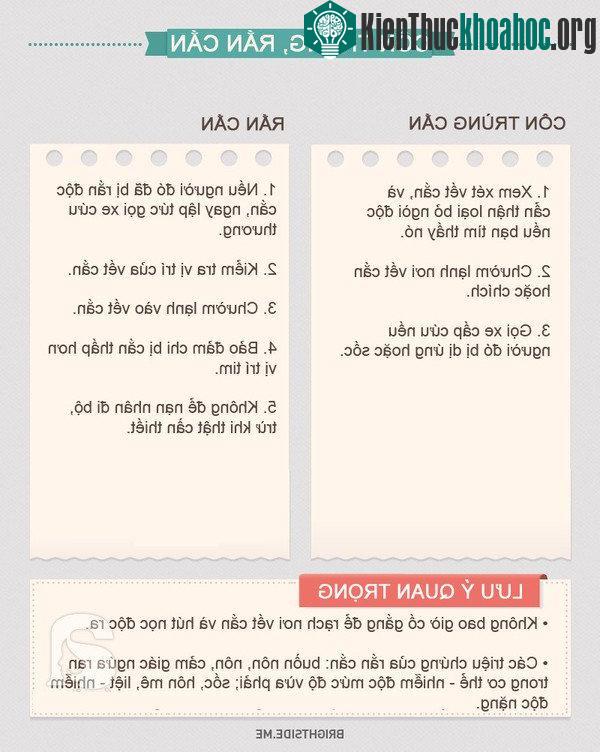 Khi bị côn trùng cắn, cần xem xét vết cắn và cẩn thận loại bỏ ngòi độc nếu bạn tìm thấy nó.