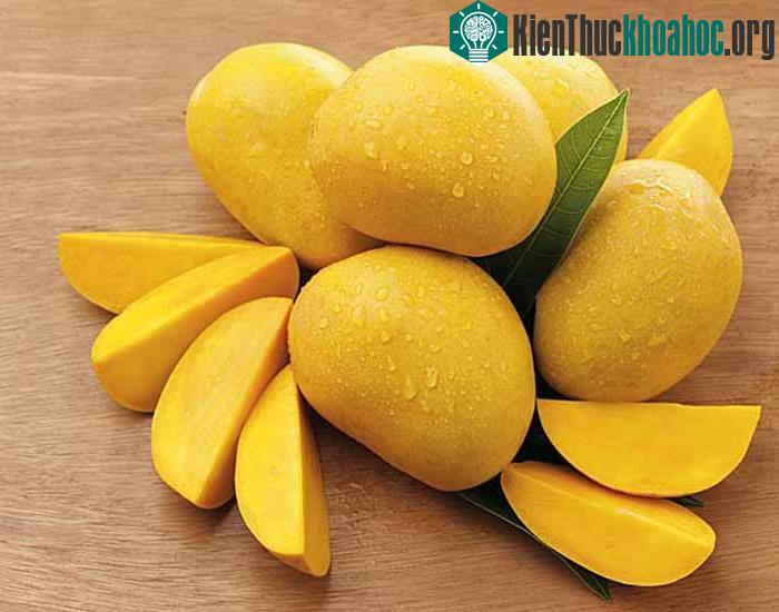 Xoài là trái cây phổ biến của mùa hè, rất giàu dinh dưỡng, tốt cho cơ thể.